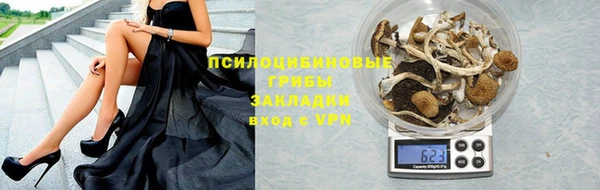 a pvp Верея